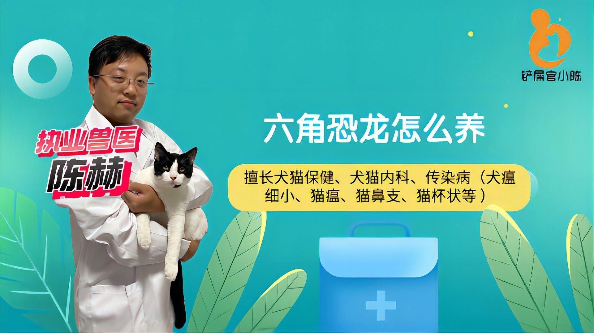 恐龍魚白膜如何預防 恐龍魚白膜如何預防 龍魚百科 第4張