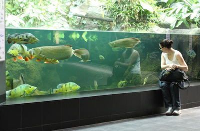 紅龍魚用黃燈烤有用嗎 龍魚進食不積極的原因:為什么龍魚進食不積極 龍魚百科 龍魚進食不積極的原因:為什么龍魚進食不積極 龍魚進食不積極的原因:為什么龍魚進食不積極 龍魚百科