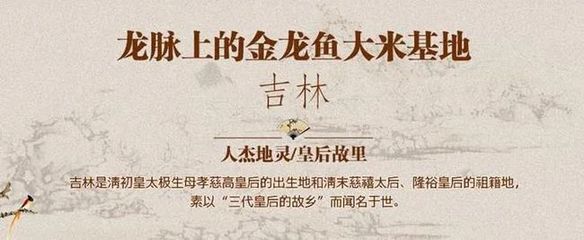 金龍魚品牌強調(diào)“家”的概念讓消費者感受到品牌溫馨、親切的氛圍：金龍魚品牌品牌在中國市場具有極強的影響力和認(rèn)知度