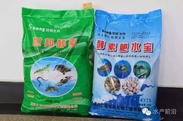 專業水族館推薦的魟魚飼料：專業水族館推薦使用特定配方的飼料喂養魟魚