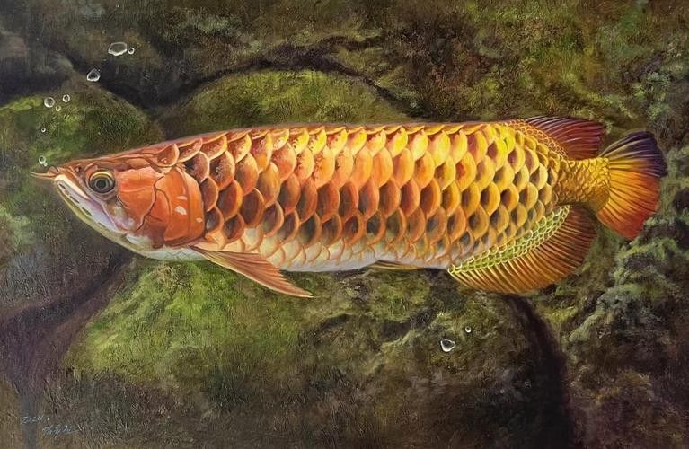 龍魚背景圖片大全高清可愛壁紙