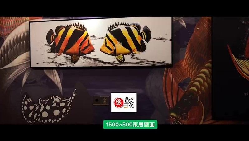 龍魚背景圖片大全高清可愛壁紙