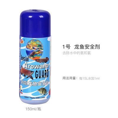 金龍魚吃肉嗎怎么吃（金龍魚人工飼養技巧）