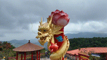 有沒有動態效果的霸氣龍圖？