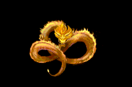 有沒有動態效果的霸氣龍圖？