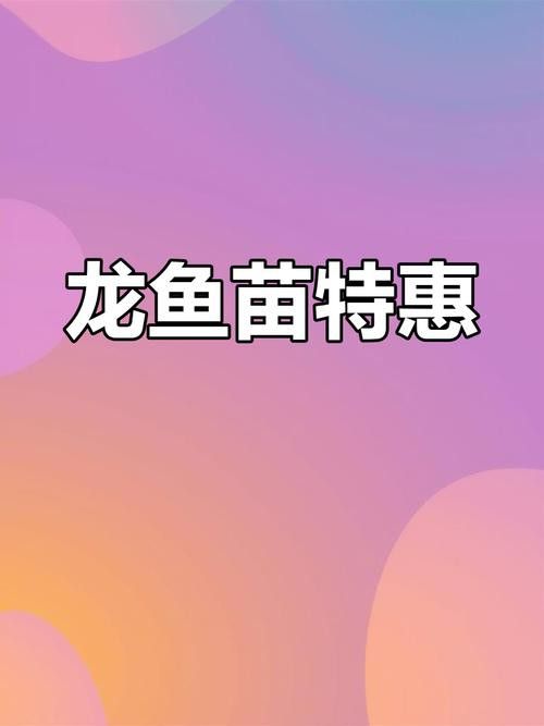 金龍魚苗有幾百元的嗎