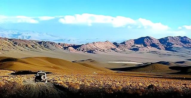 龍貓伴侶需要多長時間適應？