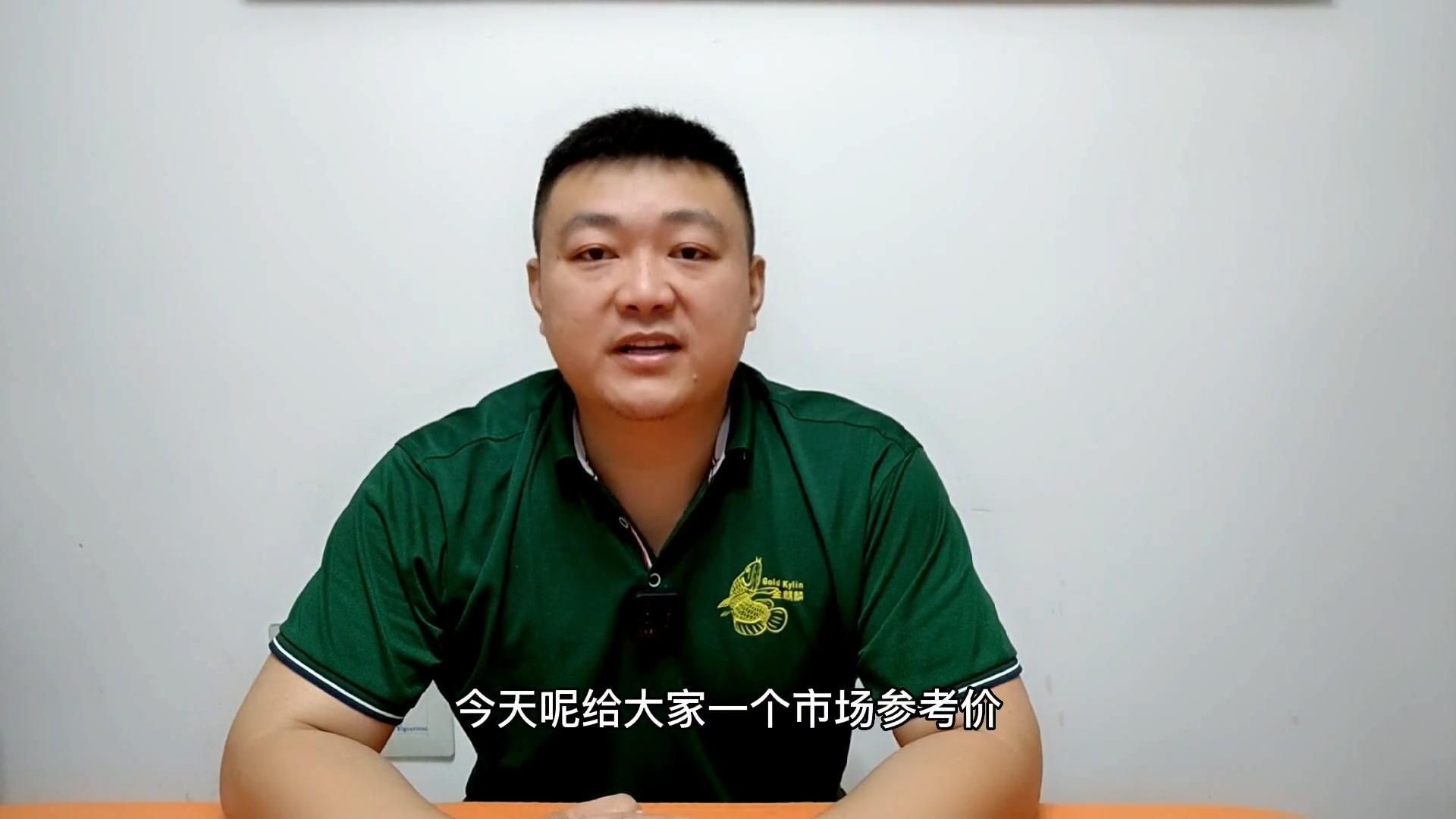 龍魚在哪里買便宜 龍魚在哪里買便宜 龍魚百科 第1張