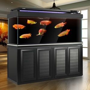 超大龍魚缸