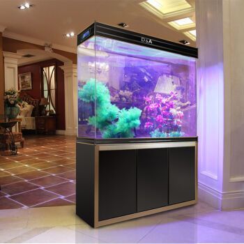 超大龍魚缸
