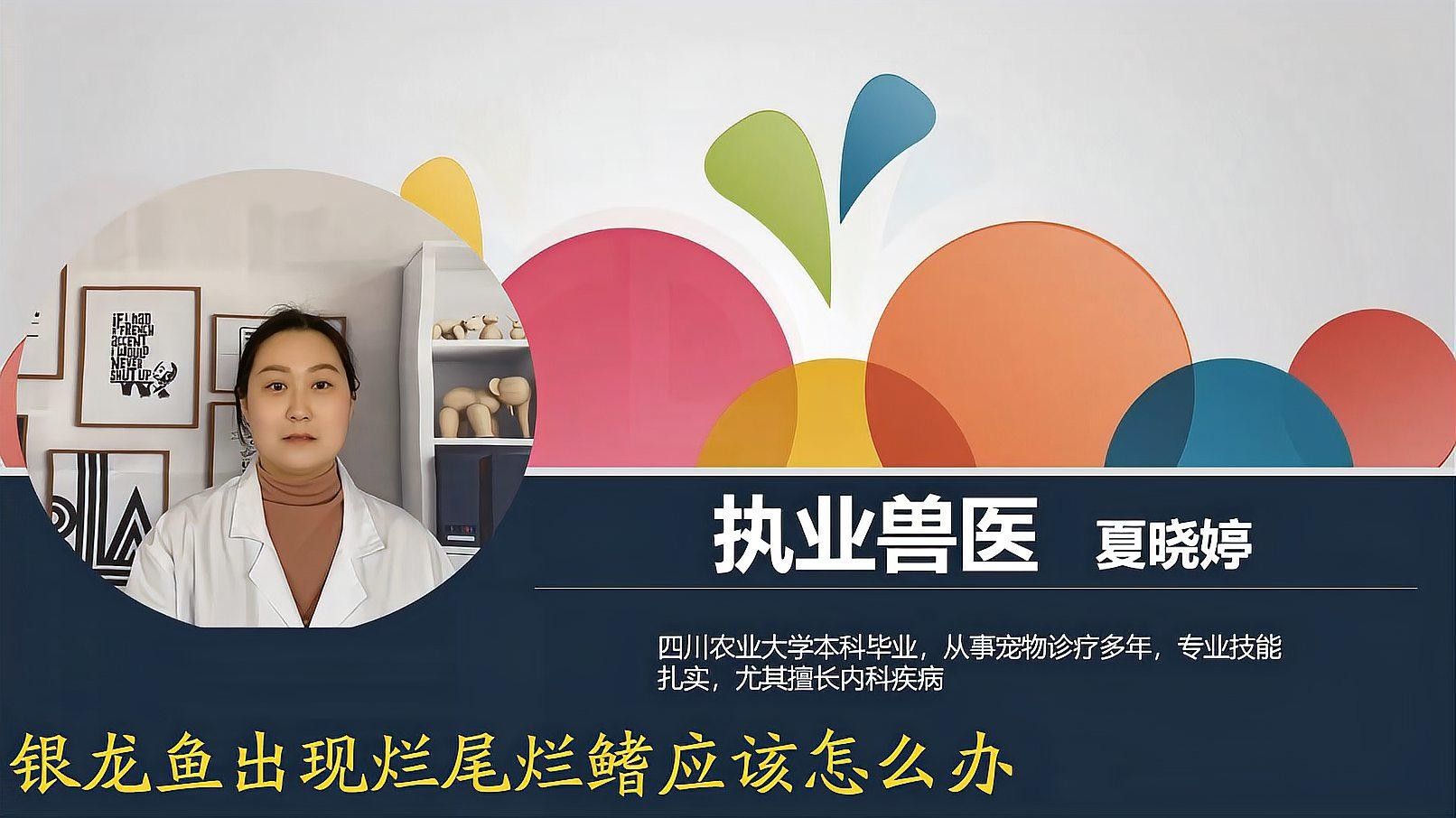 銀龍魚爛鰭怎么回事兒啊視頻