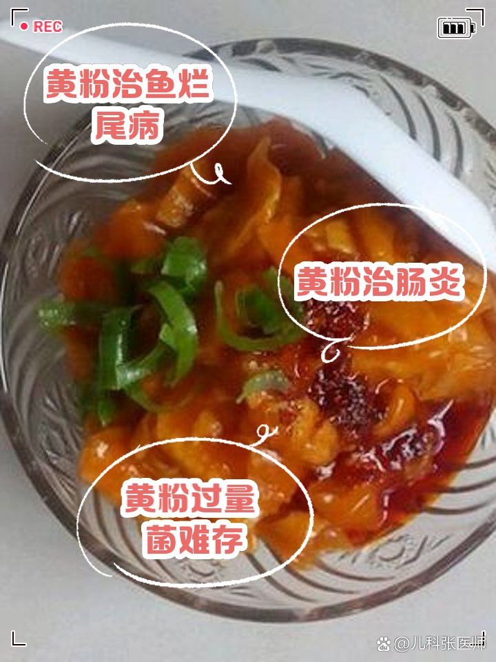 日本黃粉對龍魚的用量