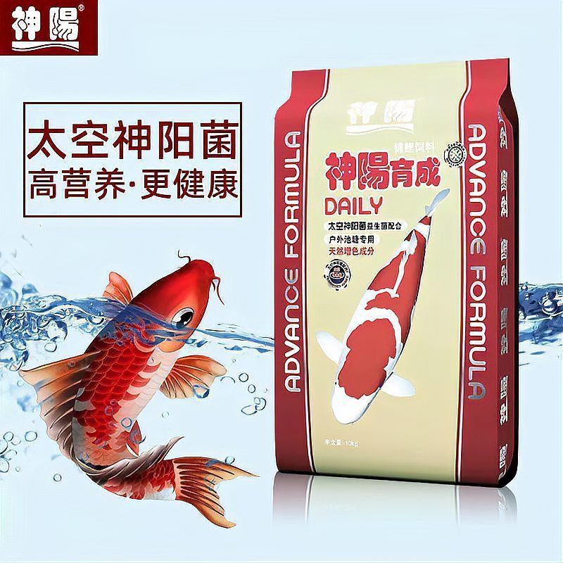 錦鯉愛好者論壇最新消息今天直播 錦鯉愛好者論壇最新消息今天直播 龍魚百科 第1張