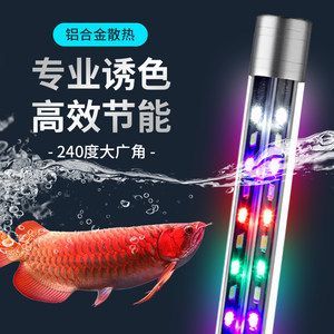 龍魚誘色燈什么牌子的好：龍魚誘色燈品牌有哪些？