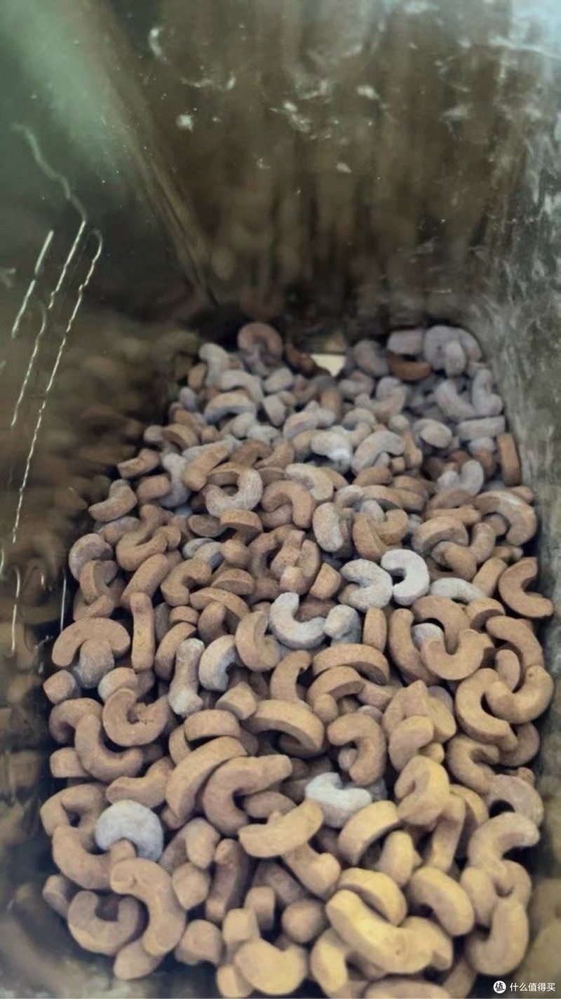 龍魚喂什么飼料經濟實惠 龍魚喂什么飼料經濟實惠 龍魚百科 第2張