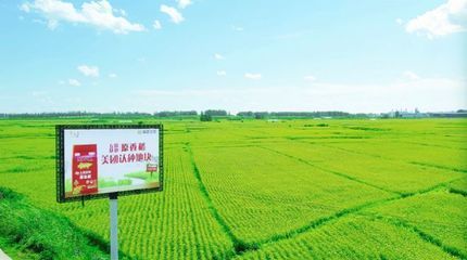 金龍魚種植基地地址（金龍魚種植基地位于中國廣東省佛山市南海區(qū)具體地址）