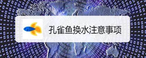 孔雀魚魚缸多久換一次水（夏季養孔雀魚的注意事項） 孔雀魚魚缸多久換一次水（夏季養孔雀魚的注意事項） 龍魚百科 第5張