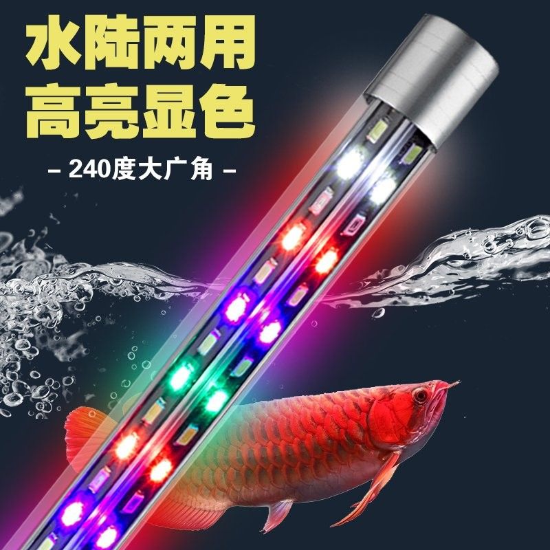 龍魚為什么要用三基色燈光照
