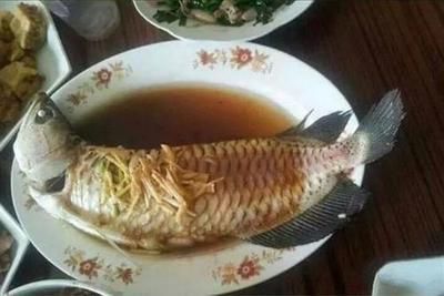 龍魚(yú)做法大全：龍魚(yú)怎么做好吃，龍魚(yú)的制作方法 龍魚(yú)做法大全：龍魚(yú)怎么做好吃，龍魚(yú)的制作方法 龍魚(yú)百科 第4張