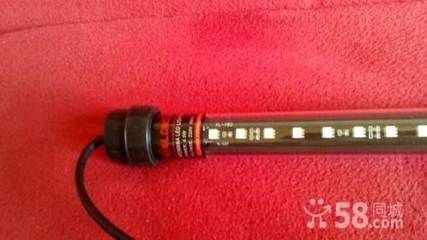 龍魚專用燈哪個牌子的好點：選擇龍魚專用燈需要考慮哪些因素