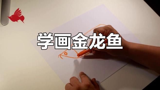 金龍魚素描圖片大全