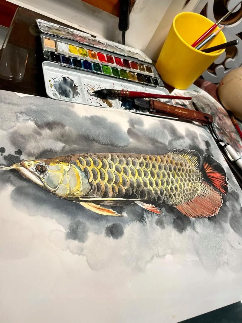 金龍魚素描圖片大全