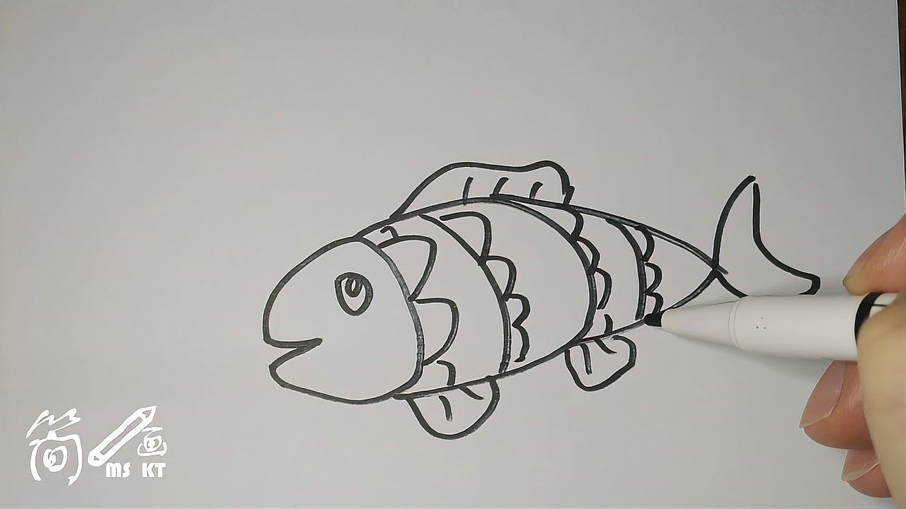 金龍魚素描圖片大全