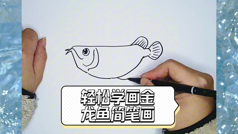 金龍魚素描圖片大全