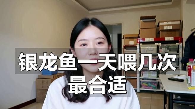魚缸養銀龍魚的數量講究 魚缸養銀龍魚的數量講究 龍魚百科 第1張