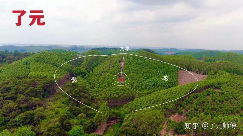 有沒有更多龍形地的案例？