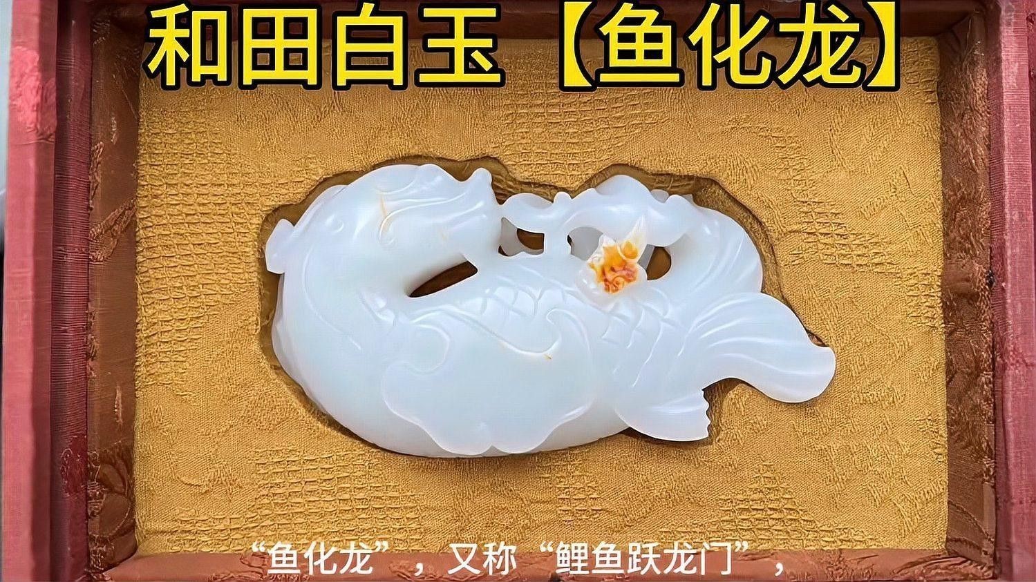 如何保養和田玉魚化龍？ 如何保養和田玉魚化龍？ 龍魚百科 第11張