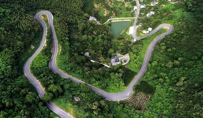 東海小白龍魚價格行情