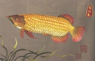 畫九條金龍魚怎么題詩【九條金龍魚題詩的經(jīng)典案例：九條金龍魚題詩的經(jīng)典案例】