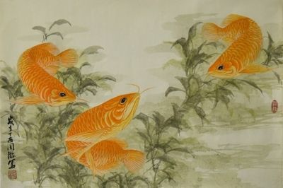 畫九條金龍魚怎么題詩【九條金龍魚題詩的經(jīng)典案例：九條金龍魚題詩的經(jīng)典案例】