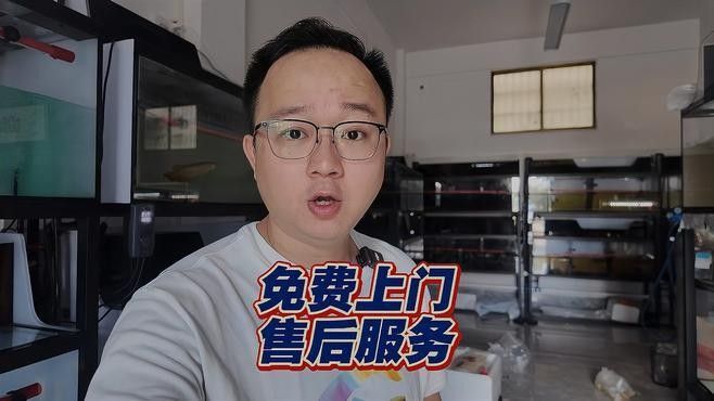 龍魚寄養服務平臺有哪些