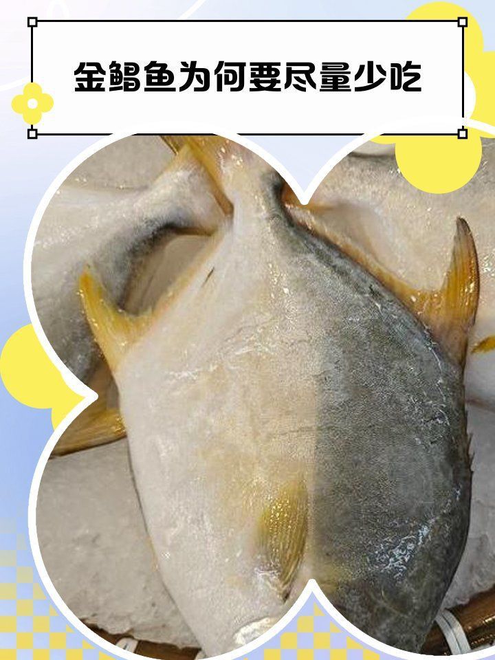 金鯧魚為什么不建議吃