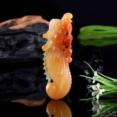 <strong><mark>云南</mark></strong>龍魚的特點(diǎn)：<strong><mark>云南</mark></strong>龍魚的特點(diǎn)是什么？
