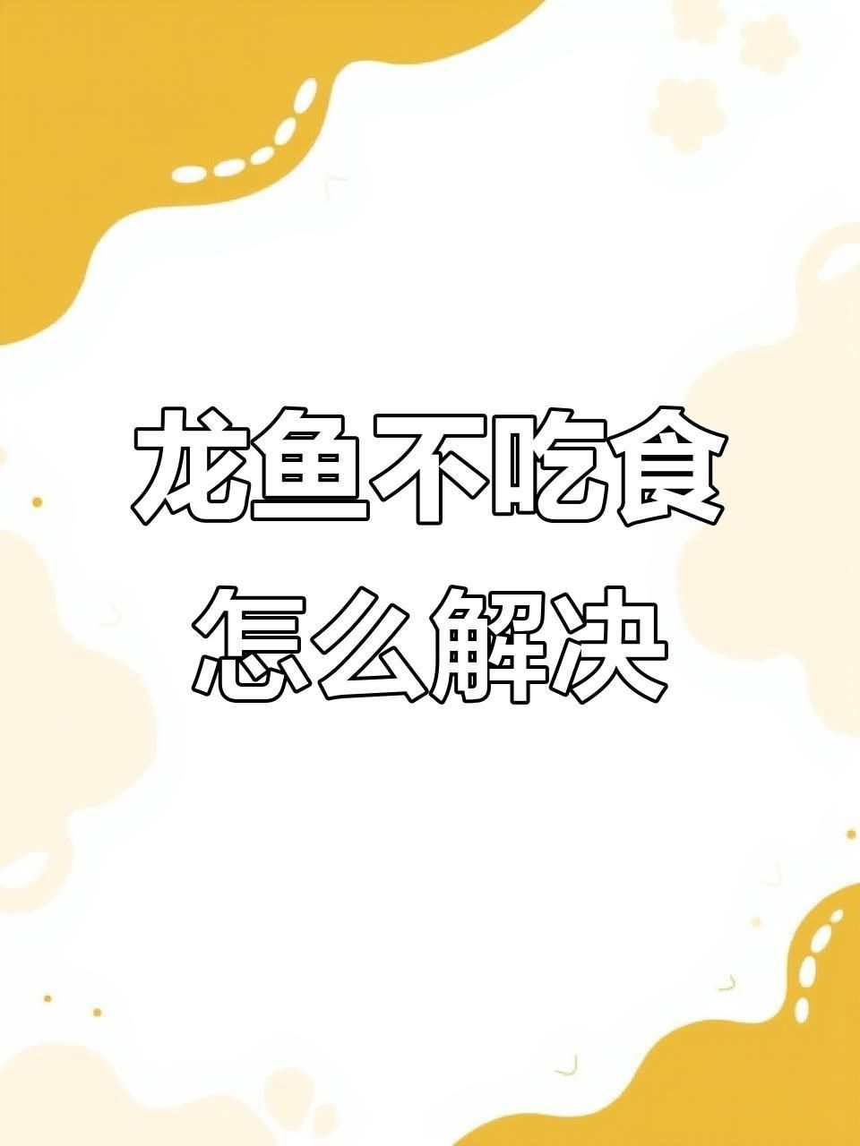 龍魚不吃食應(yīng)該如何處理？