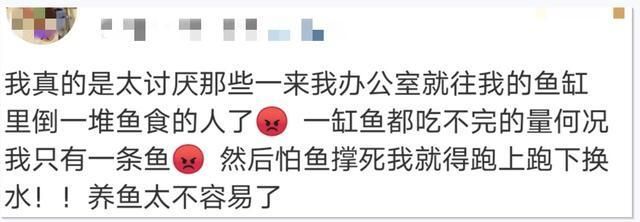 龍魚張口呼吸（龍魚張口呼吸可能由于缺氧、水質問題、生理反應、生理反應）