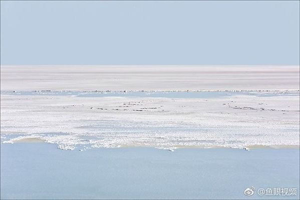 龍魚眼睛里面有白色的東西，龍魚眼睛內(nèi)部出現(xiàn)白色物質(zhì)可能是由多種原因引起的