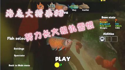 龍魚立著游是怎么回事：龍魚立著游可能由多種因素引起龍魚立著游可能由多種因素引起