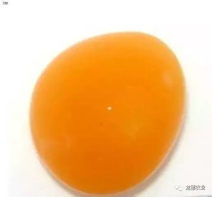 金龍魚從小到大的尺寸是多少厘米：金龍魚從小到大尺寸有一些出入