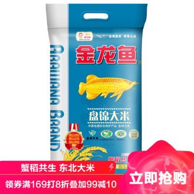 金龍魚從小到大的尺寸是多少厘米：金龍魚從小到大尺寸有一些出入