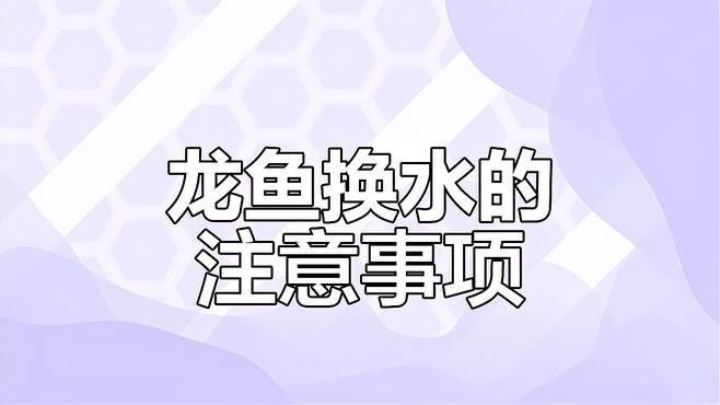 龍魚炸鱗期間需要換水嗎？