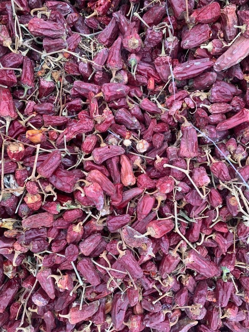 有沒有紅龍魚品相圖解？ 有沒有紅龍魚品相圖解？ 龍魚百科 第7張