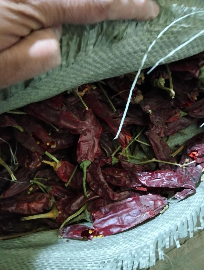 有沒有紅龍魚品相圖解？ 有沒有紅龍魚品相圖解？ 龍魚百科 第15張