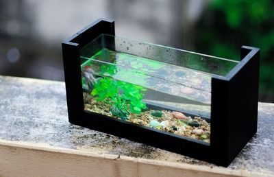 紅龍魚水族箱布置指南：紅龍魚水族箱布置指南提供水族箱有效的方法