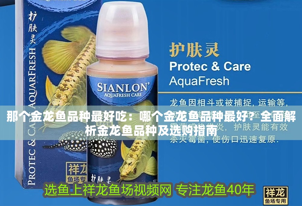 那個金龍魚品種最好吃：哪個金龍魚品種最好？全面解析金龍魚品種及選購指南