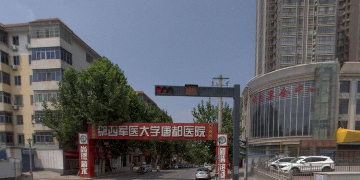 哪有給龍魚看病的醫生啊圖片