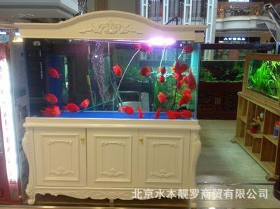 龍魚魚缸廠家：亞力克龍魚魚缸價格對比科沃斯智能魚缸戶外養殖效果